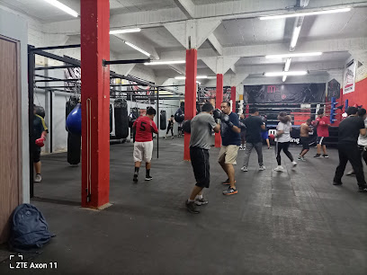 GYM DE BOXEO MXBOXING