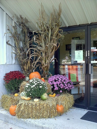 Gymnastics Center «All Stars Gymnastics & Cheer», reviews and photos, 430 Hayden Station Rd, Windsor, CT 06095, USA