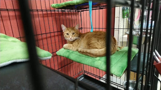 Thrift Store «ReTails Thrift Store», reviews and photos, 5000 NE Fourth Plain Blvd, Vancouver, WA 98661, USA