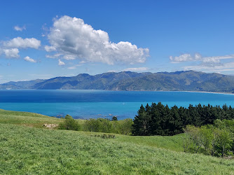 Kaikoura Lookout