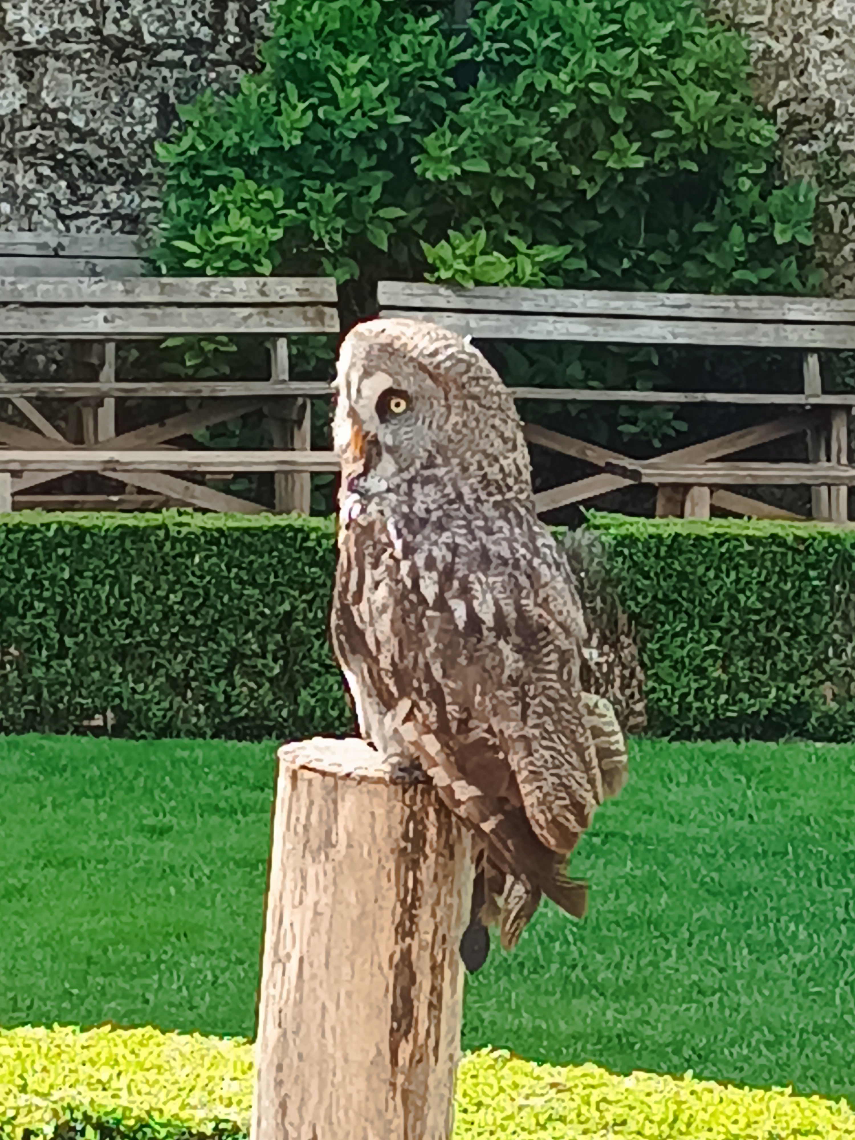 Photo n° 36 de l'avis de Nouredine.b fait le 17/05/2023 à 14:29