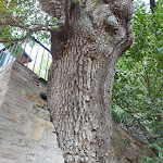 Photo n°4 de l'avis de sonia.a fait le 01/10/2021 à 16:38 sur le  Seven Oaks Hotel à San Casciano dei Bagni