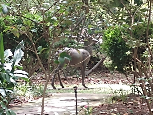 Tourist Attraction «McRaven Tour Home», reviews and photos, 1445 Harrison St, Vicksburg, MS 39180, USA