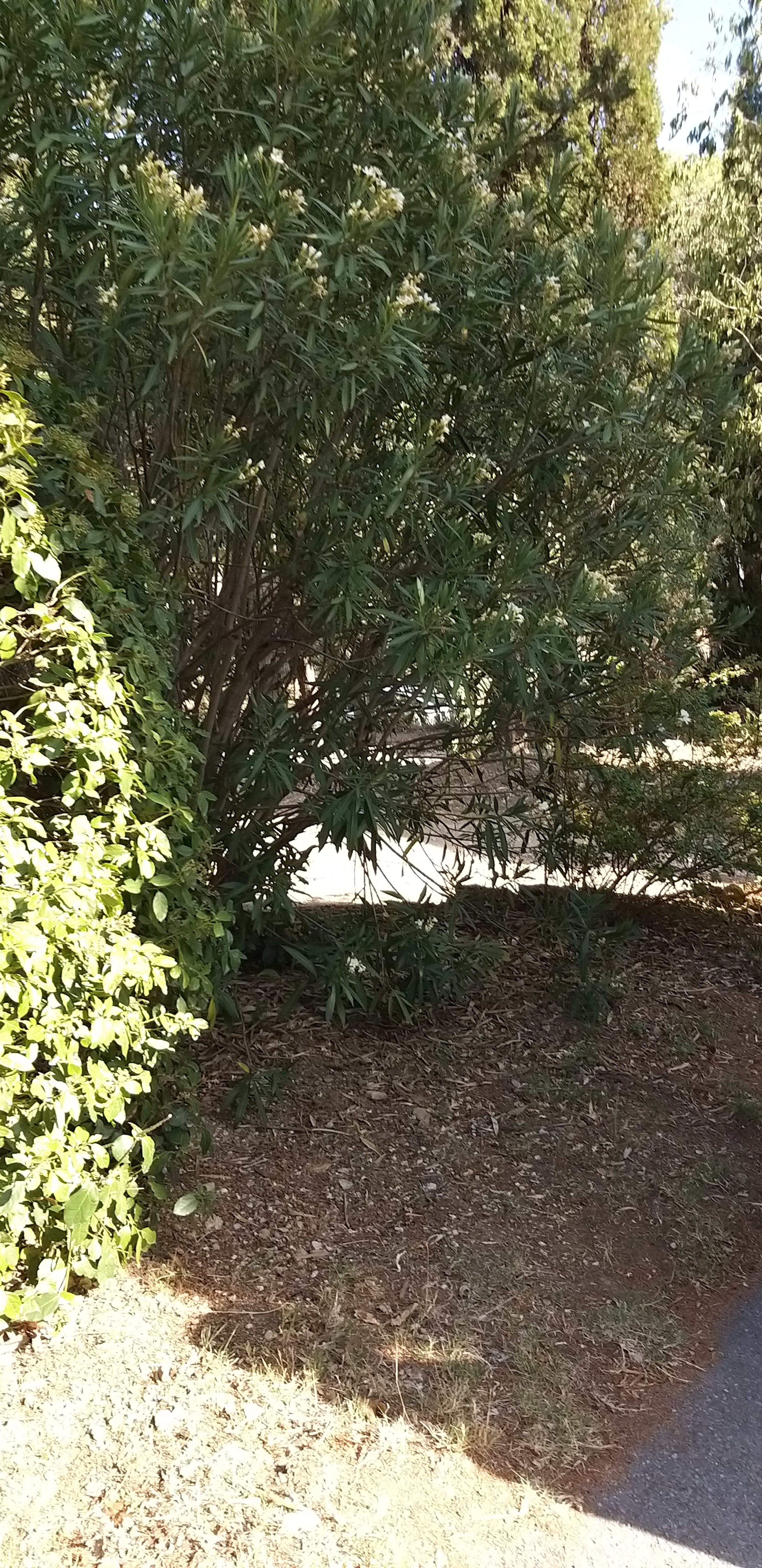 Photo n° 12 de l'avis de unmecdesannees80. fait le 27/08/2019 à 18:09