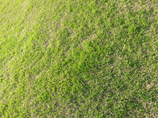 Park «Valley Ridge Park», reviews and photos, 2850 Park Ridge Dr, Cedar Hill, TX 75104, USA