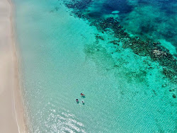 Rose Island beach III'in fotoğrafı geniş bir kıyı şeridi ile birlikte