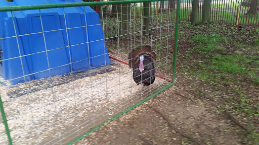 Museum «Queens County Farm Museum», reviews and photos, 73-50 Little Neck Pkwy, Queens, NY 11004, USA