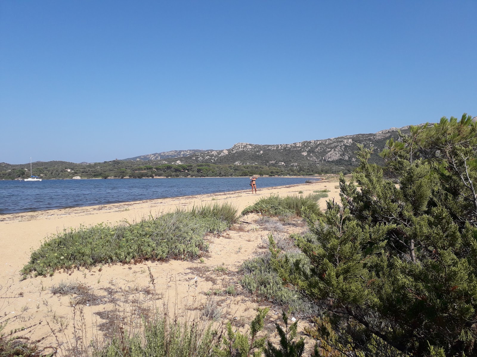 Fotografie cu Spiaggia Lu Postu - locul popular printre cunoscătorii de relaxare