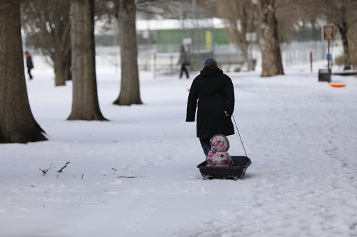 Golf Course «Bluemont Park Disc Golf Course», reviews and photos, 399 N Manchester St, Arlington, VA 22203, USA