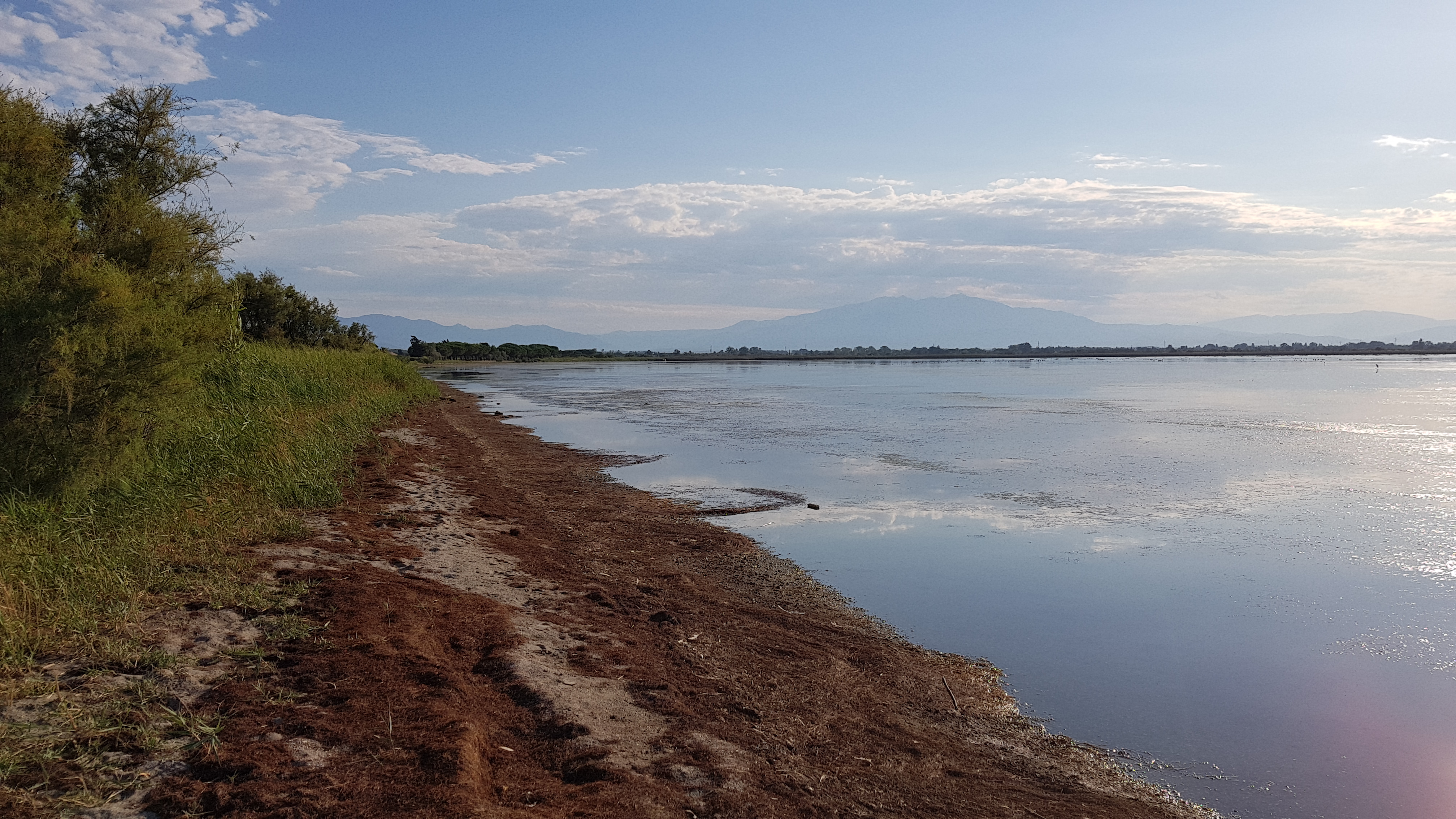 Photo n° 2 de l'avis de MJ.c fait le 18/08/2018 à 20:40