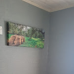 Photo n°2 de l'avis de Sofia.r fait le 29/08/2019 à 23:03 sur le  Olive Residence and Suites à Crato