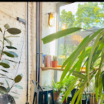 Photo n°1 de l'avis de Neda.o fait le 18/09/2023 à 16:56 sur le  Funk You - Natural Food à Berlin