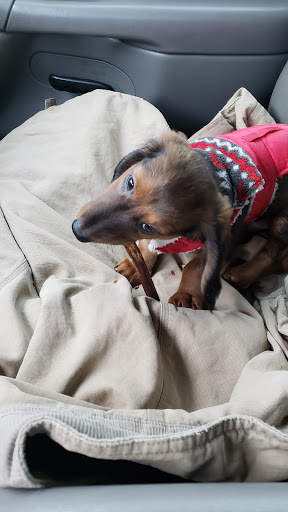 Pet Supply Store «Pet Supplies Plus», reviews and photos, 4332 Kent Rd, Stow, OH 44224, USA