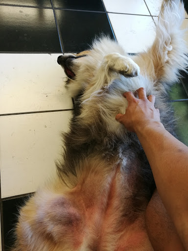 Barber Shop «Davis Barber Shop», reviews and photos, 209 G St, Davis, CA 95616, USA