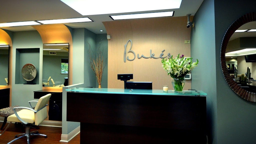 Bukes Salon Spa 60514