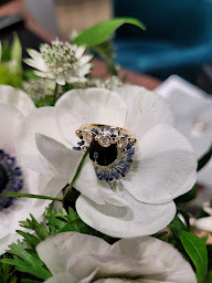 Photo n°5 de STE L'Atelier Du Beffroy à Rouen ()