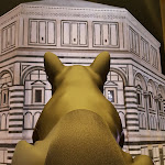 Photo n°4 de l'avis de Miau.i fait le 25/06/2017 à 21:32 sur le  Move On - Italian Pub & Record Store à Florence