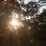 Photo n°4 de l'avis de Michela.o fait le 20/07/2023 à 23:52 sur le  La Siba Experience à Forlì