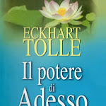 Photo n°5 de l'avis de francesco.i fait le 08/08/2019 à 07:58 sur le  A Due Passi Dal Mare à Genoa