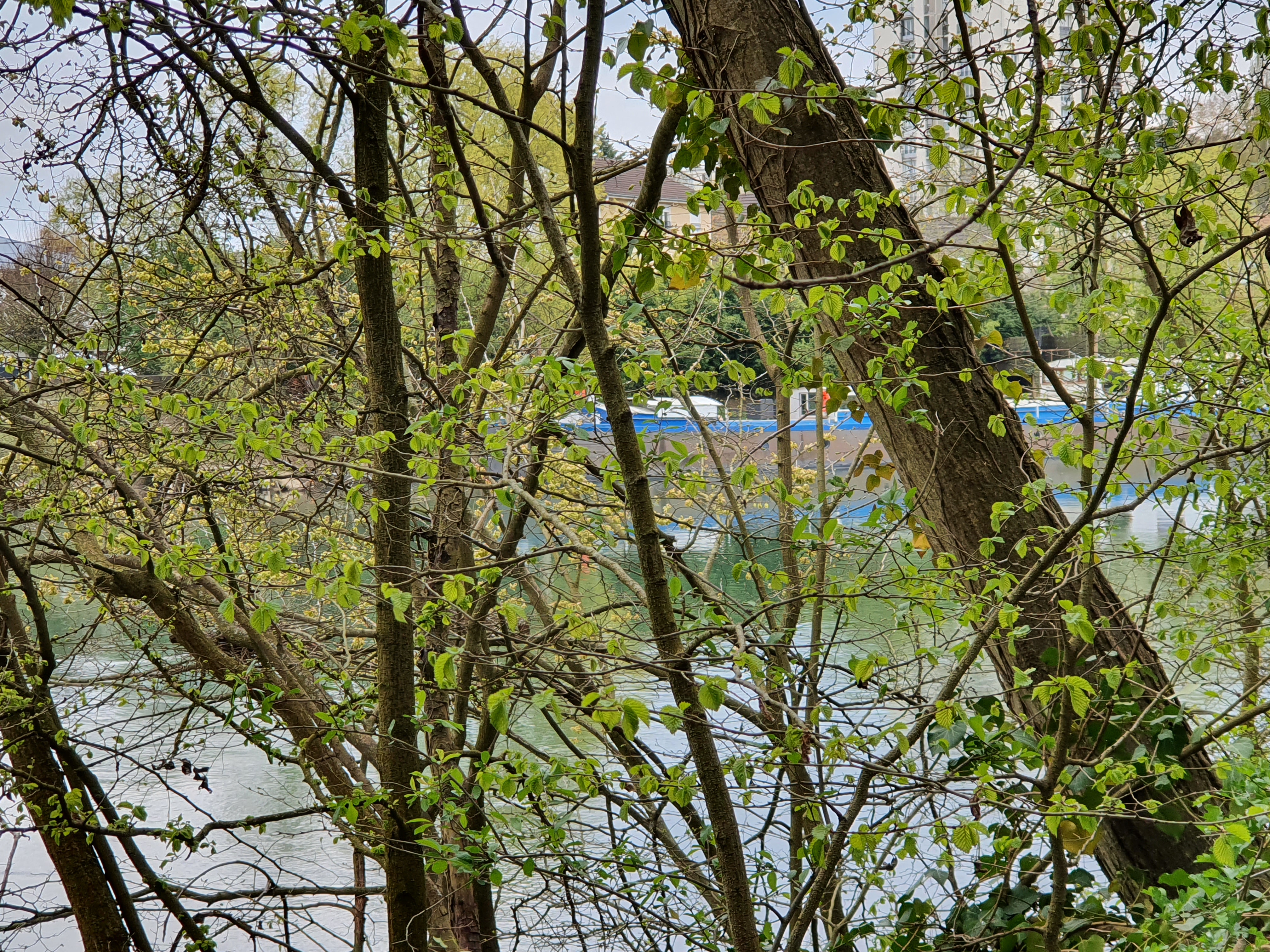 Photo n° 6 de l'avis de Bénédicte.L fait le 16/04/2021 à 17:41