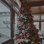 Photo n°7 de l'avis de Maurizio.o fait le 18/12/2021 à 11:36 sur le  Bar Bormio à Bormio