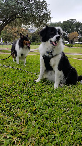 Park «Robert E Lee Park», reviews and photos, 3333 Turtle Creek Blvd, Dallas, TX 75219, USA