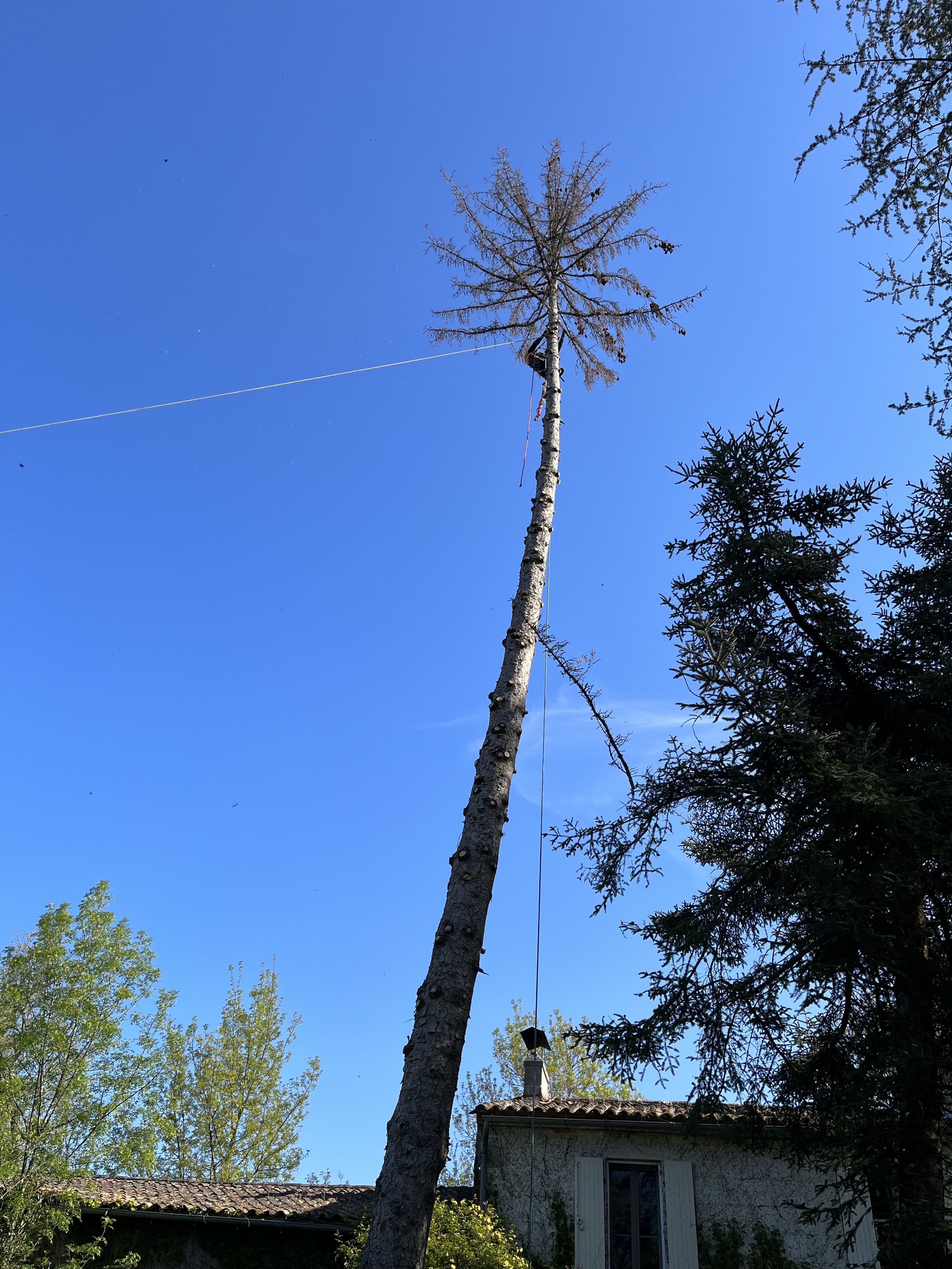 Photo n° 2 de l'avis de Nicolas.R fait le 20/04/2023 à 17:54