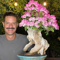 Deephouse Landscaping - Photo 9 - Car repair in Los Angeles, CA, Los Angeles