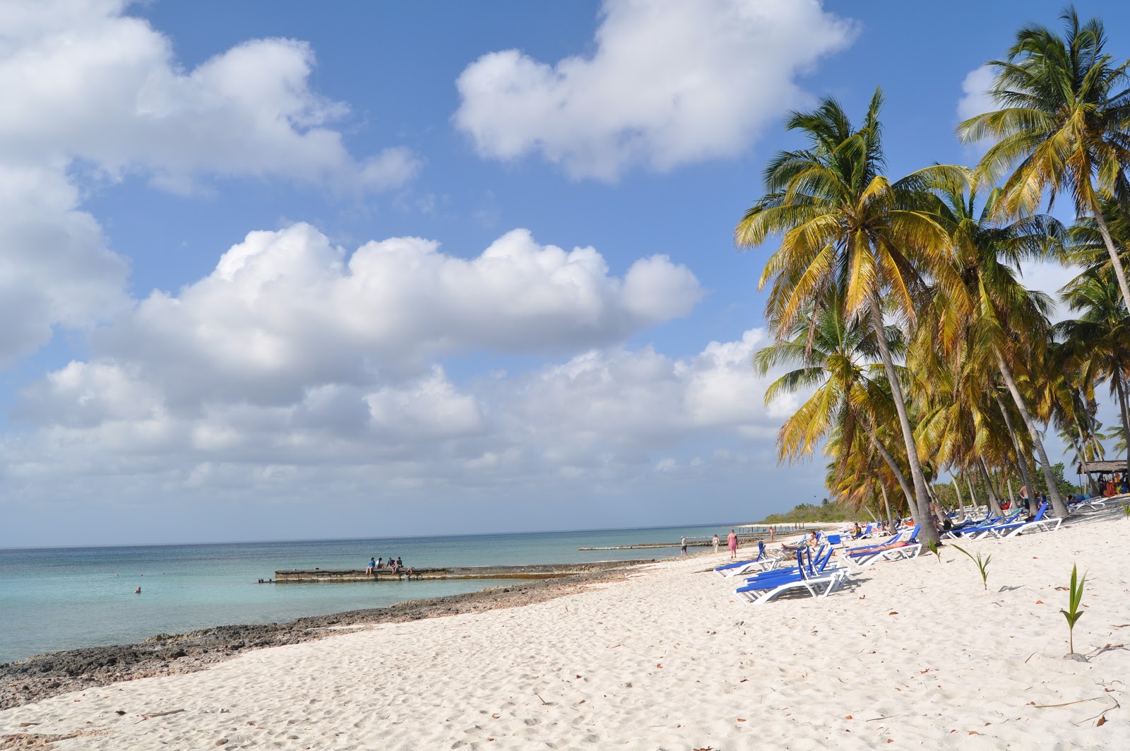 Zdjęcie Playa Maria La Gorda - popularne miejsce wśród znawców relaksu
