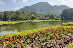 Wet Zone Botanical Garden Mountan Top Garden (Summit Garden) image