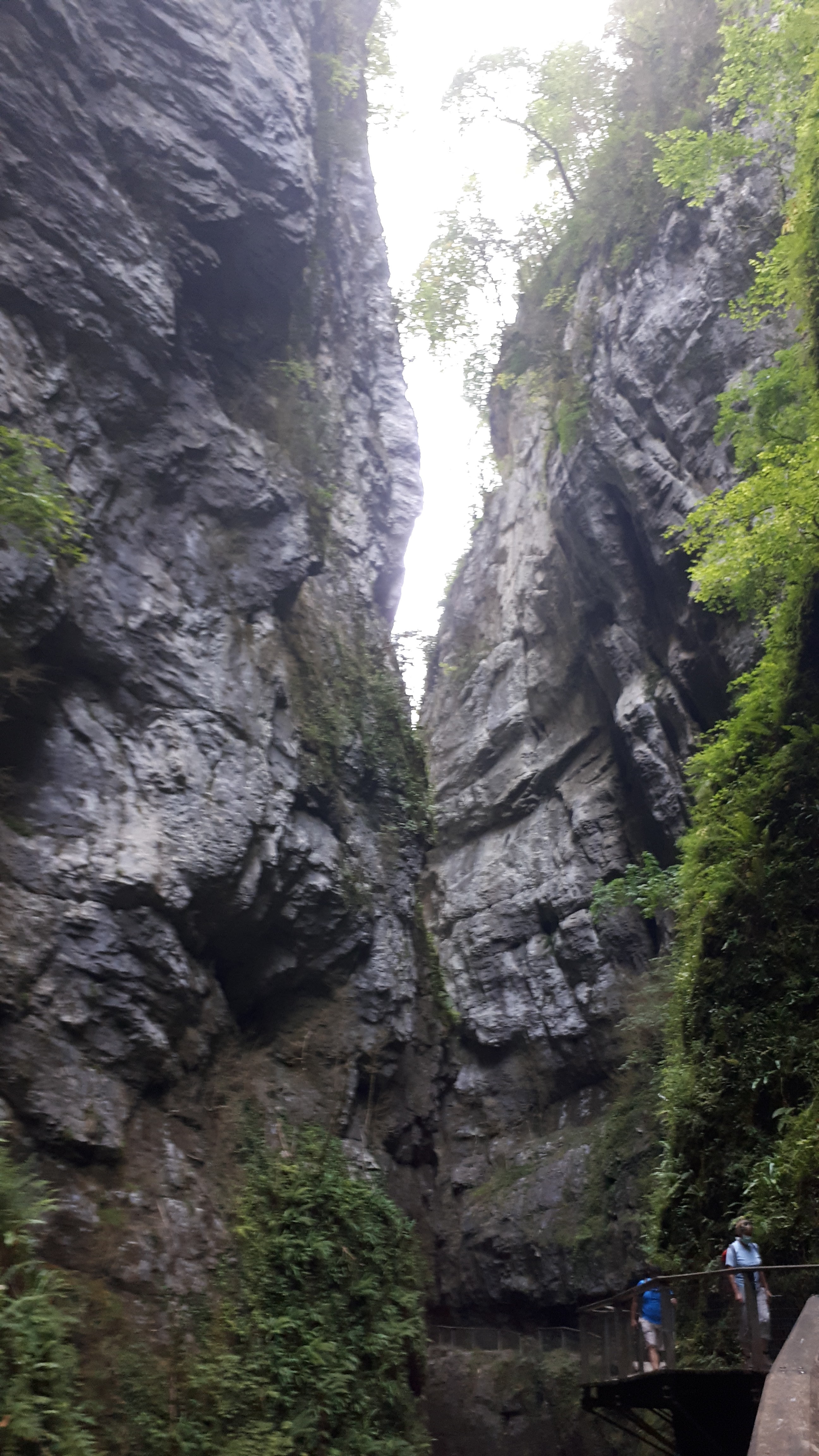Photo n° 13 de l'avis de catherine.r fait le 16/08/2020 à 12:55