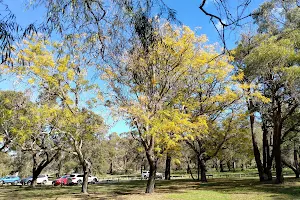 Alderbury Reserve image