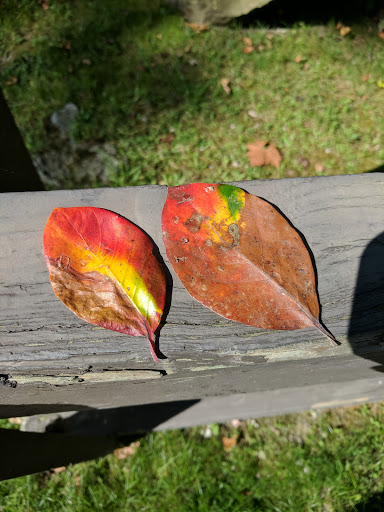 Park «North Olmsted Community Park», reviews and photos, 28114 Lorain Rd, North Olmsted, OH 44070, USA