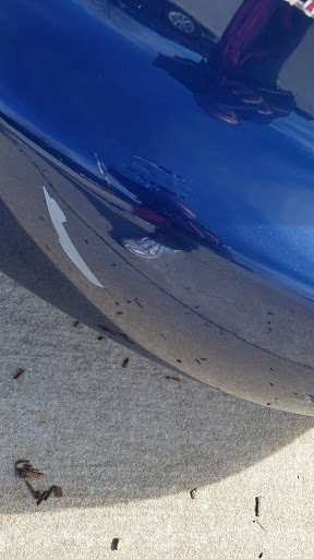 Auto Body Shop «Capital City Auto Body Inc», reviews and photos, 10008 Capital Blvd, Wake Forest, NC 27587, USA