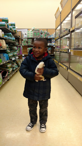 Pet Supply Store «Petco Animal Supplies», reviews and photos, 2250 Petrie Ln #518, Lanham, MD 20706, USA