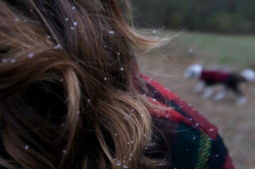 Gift Shop «Common Deer», reviews and photos, 210 College St #101, Burlington, VT 05401, USA