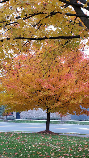 Shopping Mall «Arbor Hills», reviews and photos, 3010 Washtenaw Ave, Ann Arbor, MI 48104, USA