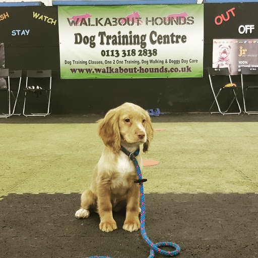 Walkabout Hounds Dog Training Centre