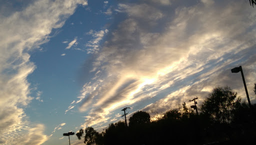 Sporting Goods Store «Big 5 Sporting Goods», reviews and photos, 3121 Wilshire Blvd, Santa Monica, CA 90403, USA