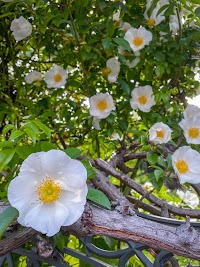 東中山１丁目公園