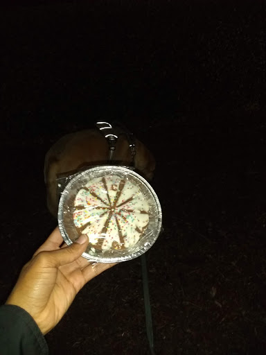 Pet Supply Store «PetSmart», reviews and photos, 3670 Von Schilling Dr, Hampton, VA 23666, USA