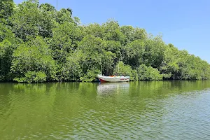 Madu Ganga image