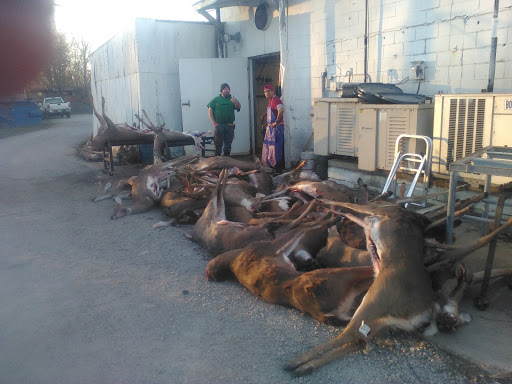 Butcher Shop «Bloomington Meats», reviews and photos, 2401 Bunn St, Bloomington, IL 61704, USA