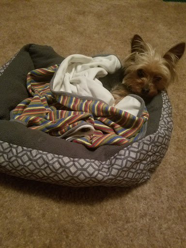 Pet Supply Store «Mom & Pups Inc», reviews and photos, 800 Whitlock Ave NW #104, Marietta, GA 30064, USA