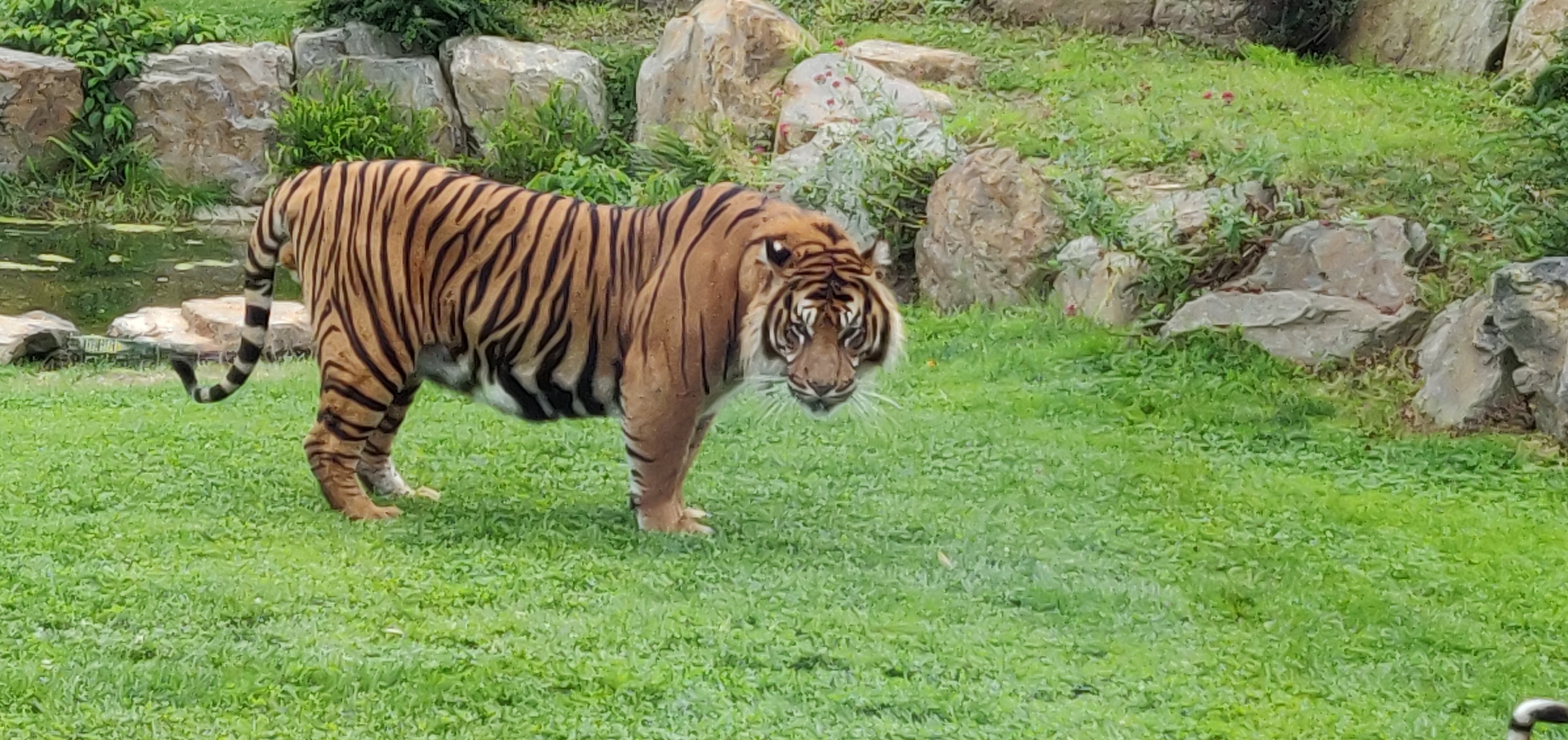 Photo n° 41 de l'avis de CHRISTIAN.A fait le 16/08/2019 à 16:59