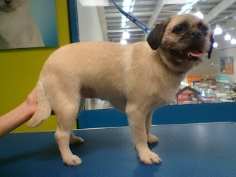 Pets at Home Middlesbrough