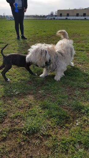 Park «Memorial Field Park», reviews and photos, 46 Lower Rd, Linden, NJ 07036, USA