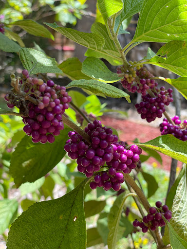 Aquarium «The River Center», reviews and photos, 805 US-1, Jupiter, FL 33477, USA