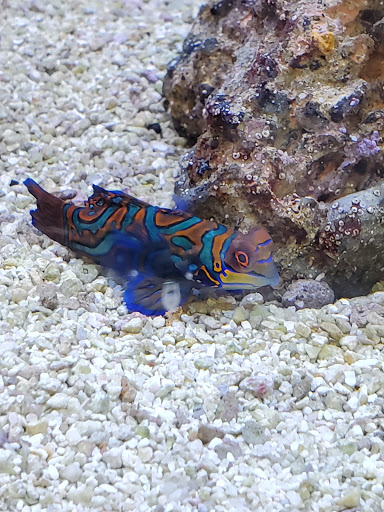 Pet Supply Store «Petco Animal Supplies», reviews and photos, 1350 S Ironton St #120, Aurora, CO 80012, USA