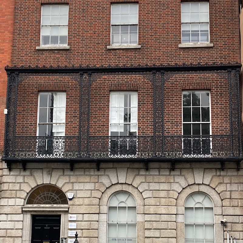The Royal Institute of the Architects of Ireland (RIAI)